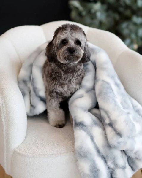 Cloudy Day Blue Pet Blanket