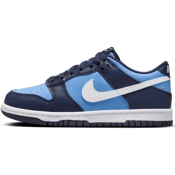 Nike Dunk Low Big Kids' Casual Shoes