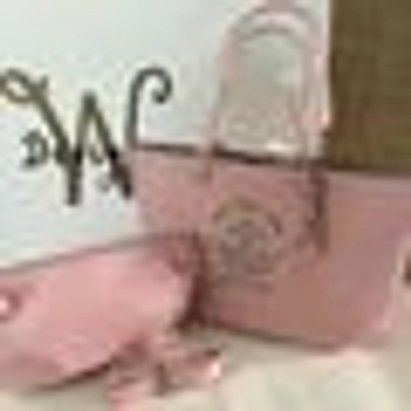 AKA Inspired 2pc Tote Set