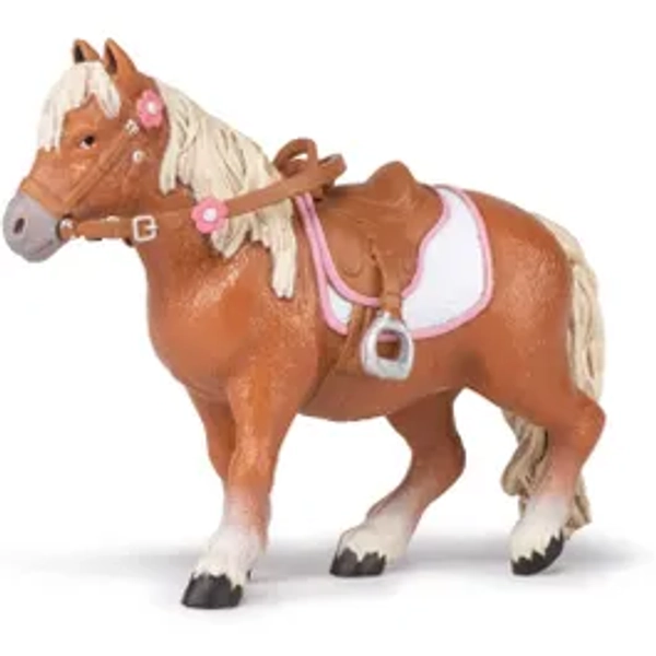 Shetland Pony With Saddle