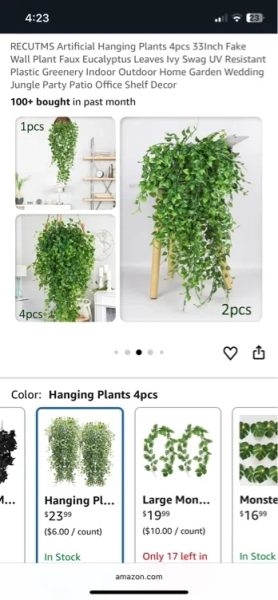 Hanging plants 