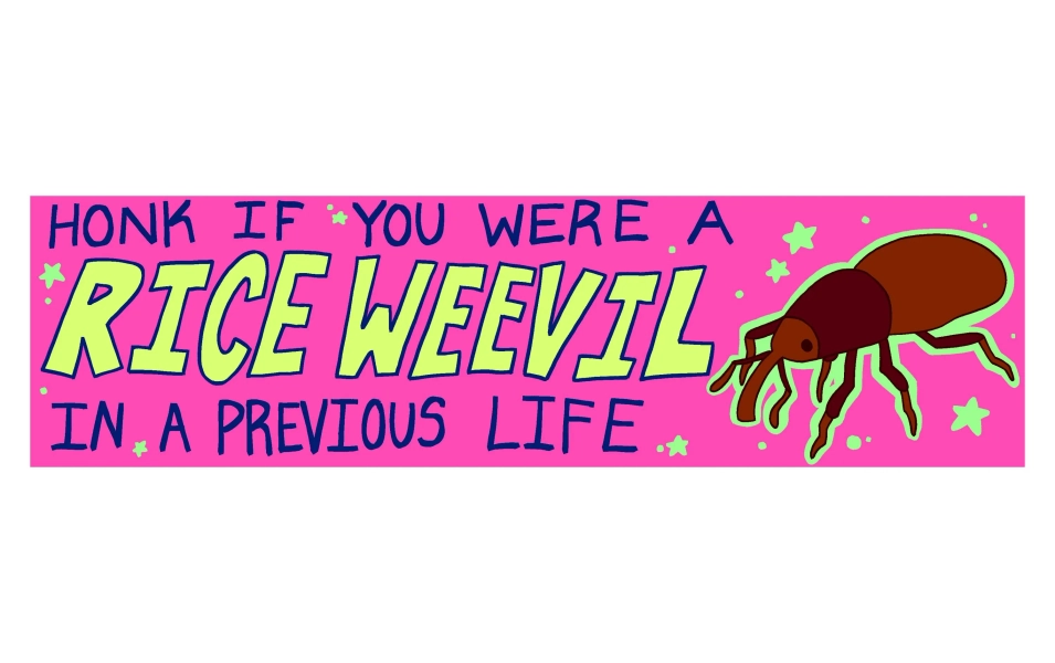 Rice Weevil bumper sticker