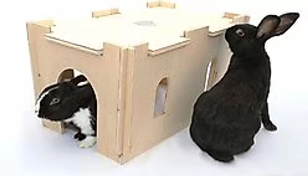 Guinea Pig Hideout & Mats | Chewy
