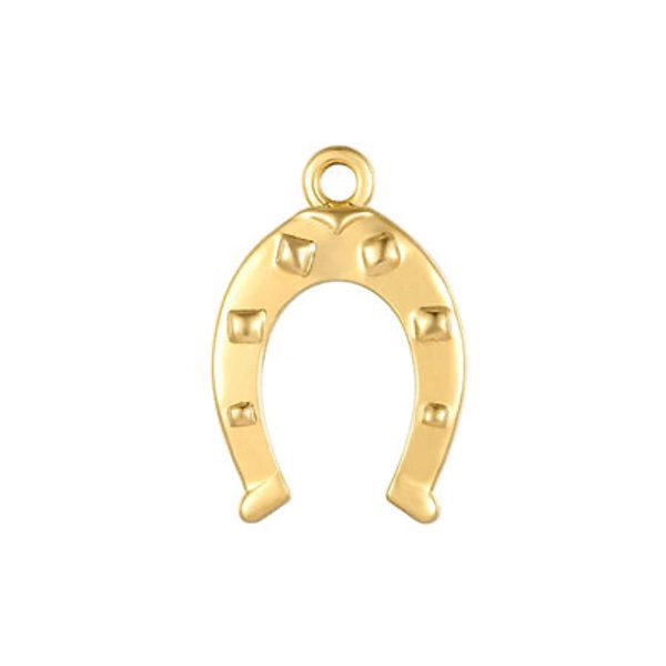 Horseshoe Charm