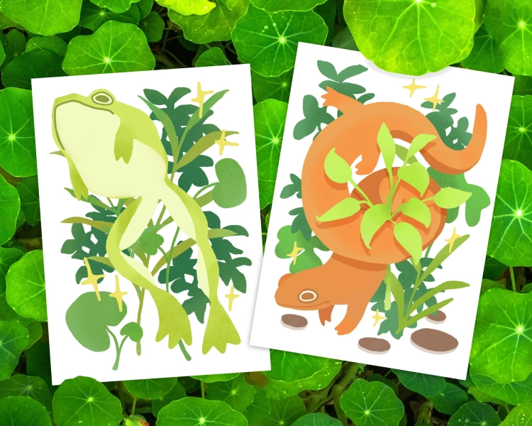 Spring Sprung - 5x7" Digital Frog + Salamander Art Prints