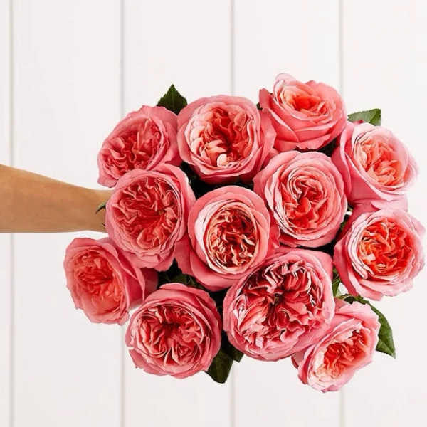 1-800-Flowers Flowers Delivery Pink Garden Roses
