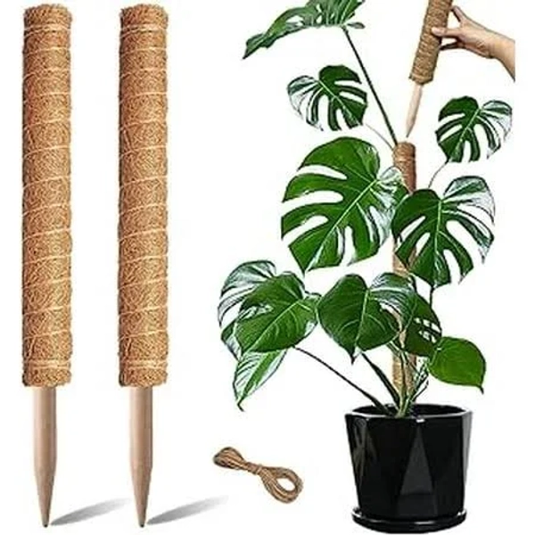 20 Inch Moss Pole, Stackable Moss Poles for Climbing Plants Monstera, Tall Plant Sticks Accessories, Large Coir Plant Support Stakes for Potted Plants