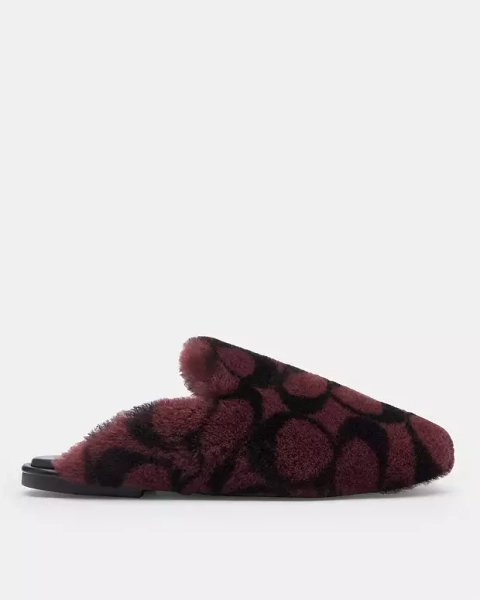 Merlot Slipper In Signature Shearling