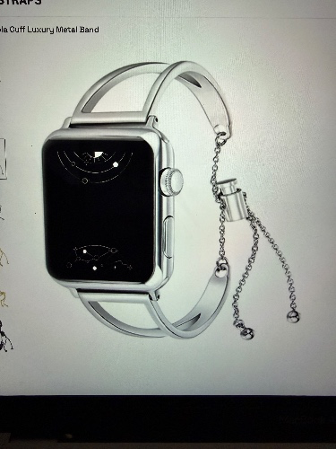 Silver Apple Watch Band