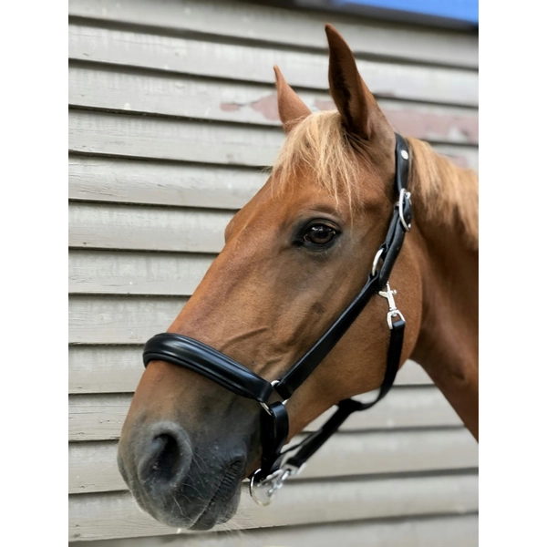 Licol Norton Pro Anatomique - LICOLS CUIR - PADD