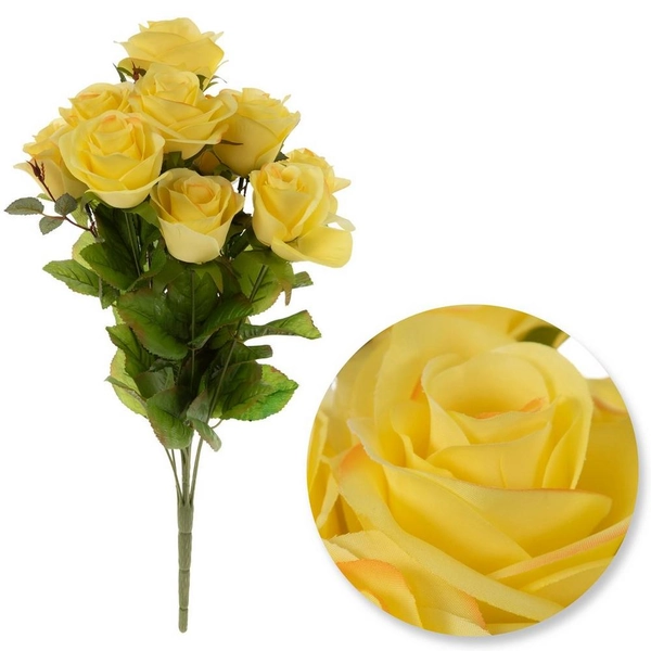 Rose Bush