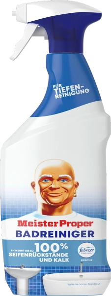 Badreiniger Spray, 800 ml