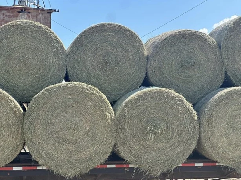 6000 Bales Large Round Oat, Bermuda, Hay Grazer