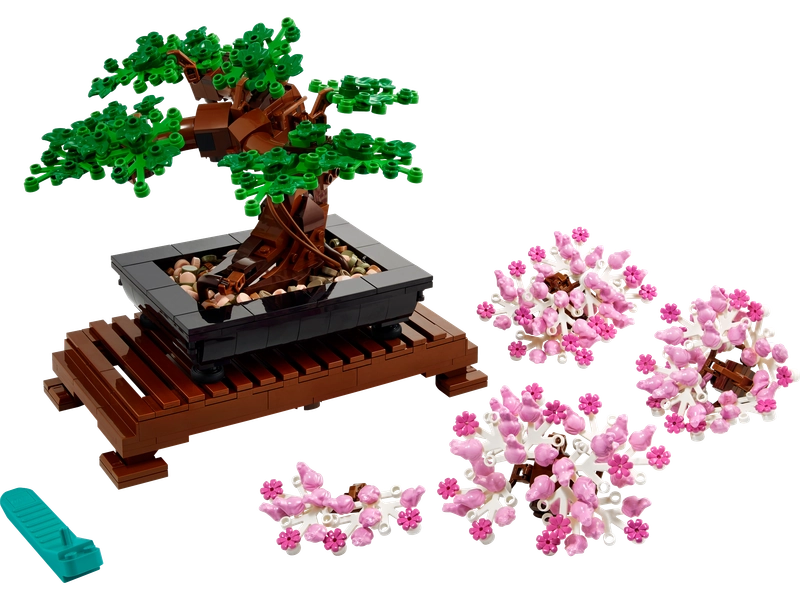 Drzewko bonsai