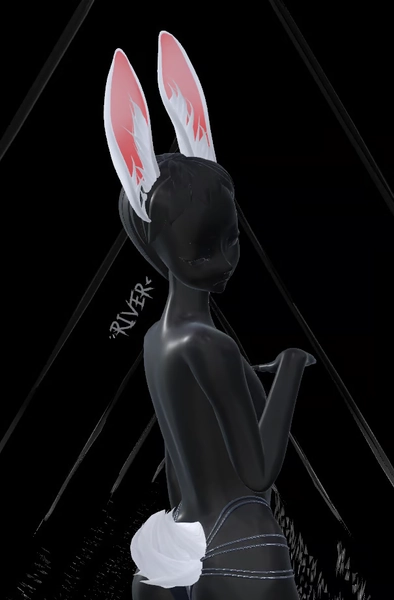 Bunny set