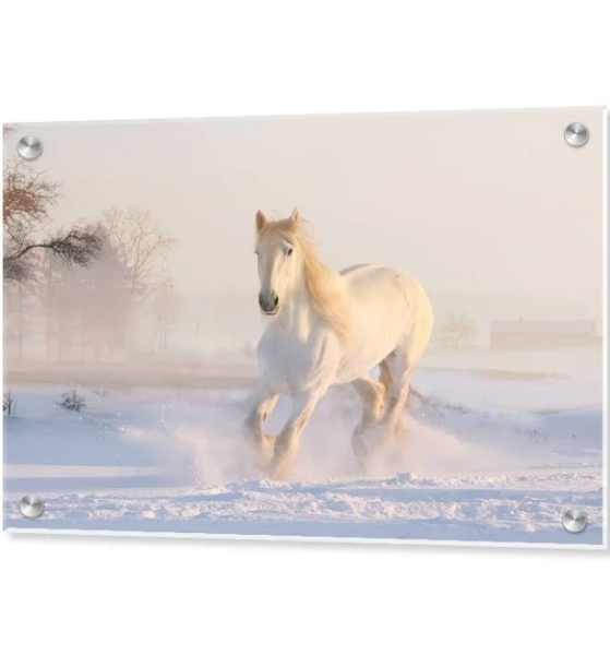 CanvasChamp Make Your Best Photos Shine On Acrylic Prints
