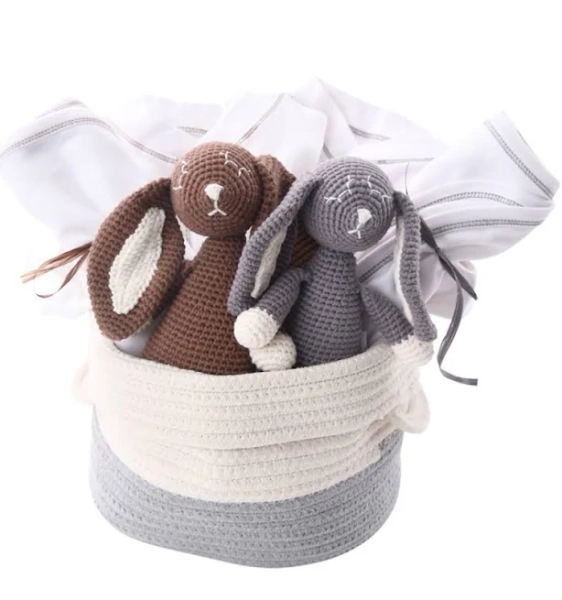 Organic Gifts for Twins Unisex Baby Gift Basket