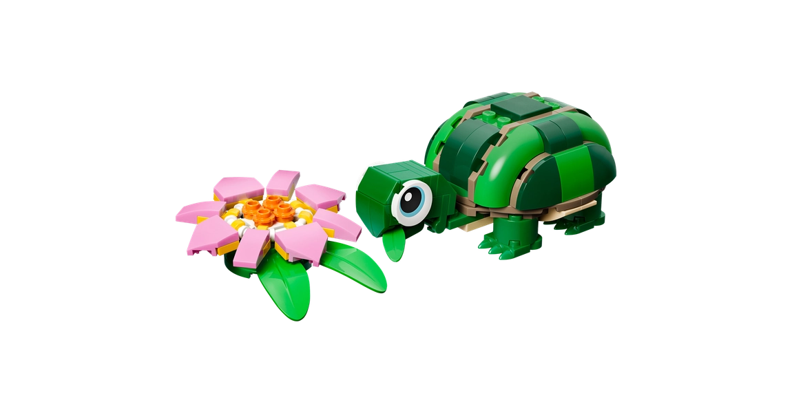 Turtle with a Water Lily Flower
