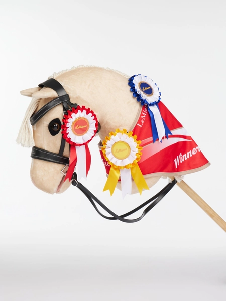 Hobby Horse Competition Gift Set