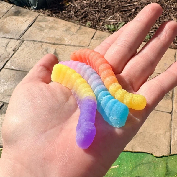 Gummy Worm Taba Squishy Toy – Soft Stretchy Silicone Sensory Toy | Realistic & Fun for All Ages