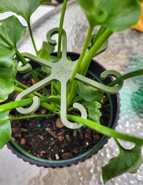 Plant Supports for house plants