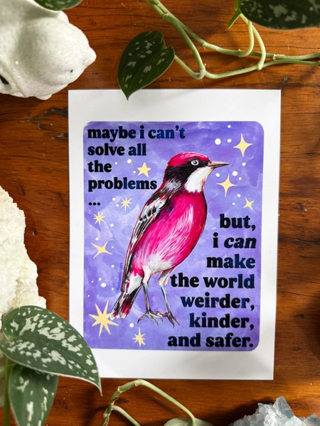 Maybe I Can't Solve All The Problems but I can make the world weirder kinder and safer | 