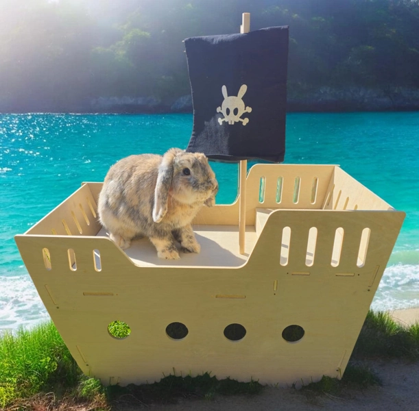 Pawsome Pods Rabbit, Guinea Pig, Small pet bed Pirate Ship Hideaway Hutch Tunnel.
