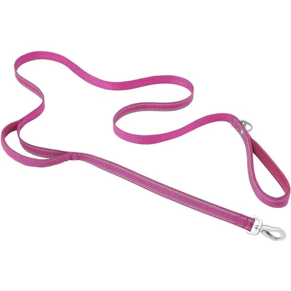 Frisco Outdoor Nylon Reflective Comfort Padded Dog Leash