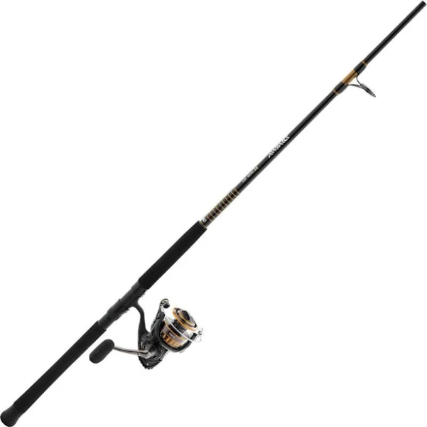 Daiwa BG Pre-Mounted Saltwater Spinning Combo
