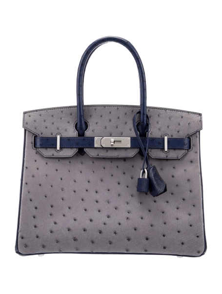 Special Order Ostrich Birkin 30