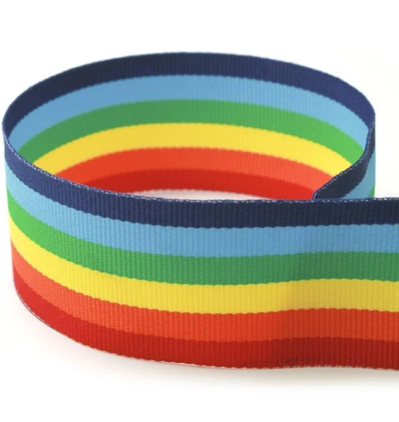 The Ribbon Factory Rainbow Ribbon