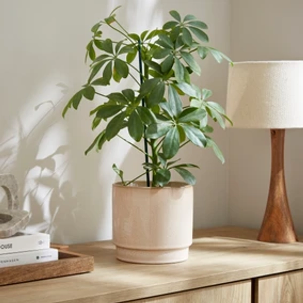Reactive Glaze Ceramic Plant Pot