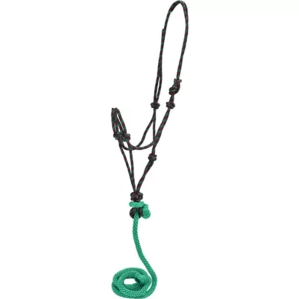 DuMOR Braided Rope Horse Halter with 7 ft. Detachable Lead, Turquoise/Pink - Turquoise/Pink,One Size Fits Most