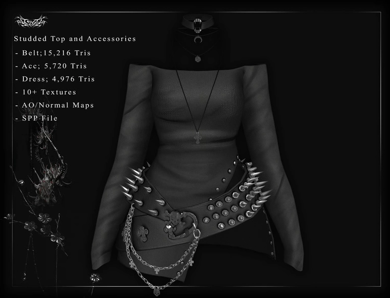 Studded Top and Accessories