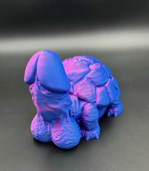 3D printed tortoise willy