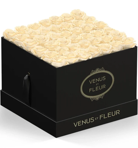 Venus et Fleur Pearl Eternity Rose