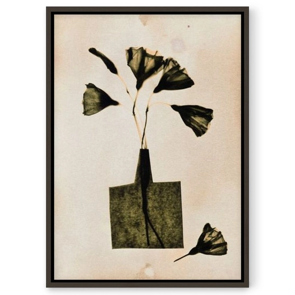 Magic in the Ordinary #8 / Light | Alisa Galitsyna | Art Print | 29.7x42.0cm