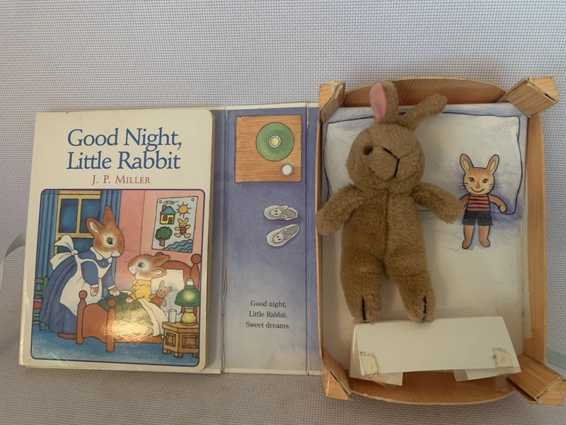 Good Night, Little Rabbit Bedtime Book &amp; Baby Rabbit Soft Plush Toy 1986 Rare