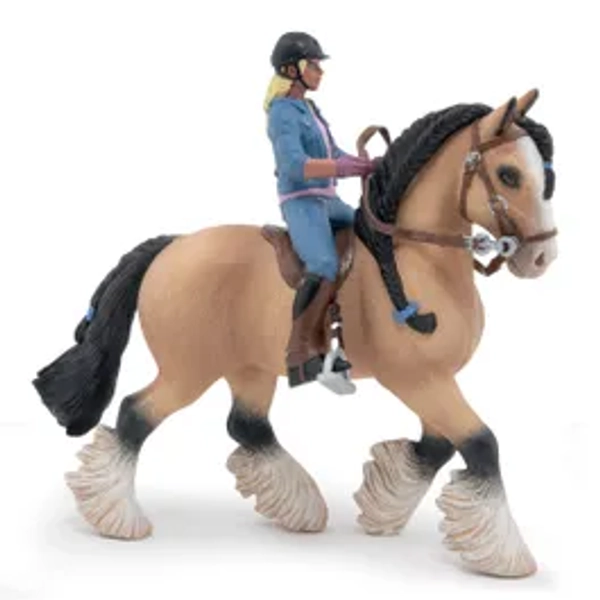 Tinker And Her Young Rider
