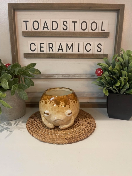 Desert Rain Frog Planter | Handmade Frog Pot | Cute Frog Ceramic | Small Succulent Planter | Whimsical Pottery