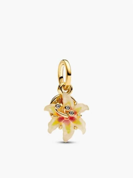 Charms 