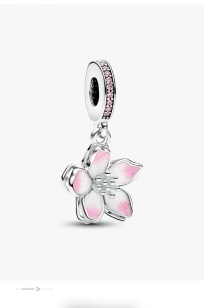 Pandora charm 
