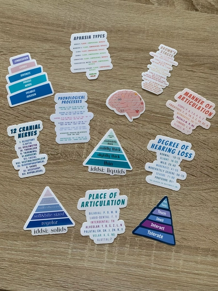 SLP Reference Sticker Bundle: Grad School Speech Therapy Gifts for Slps and Slpas | 12 Pack Sticker Bundle - Etsy