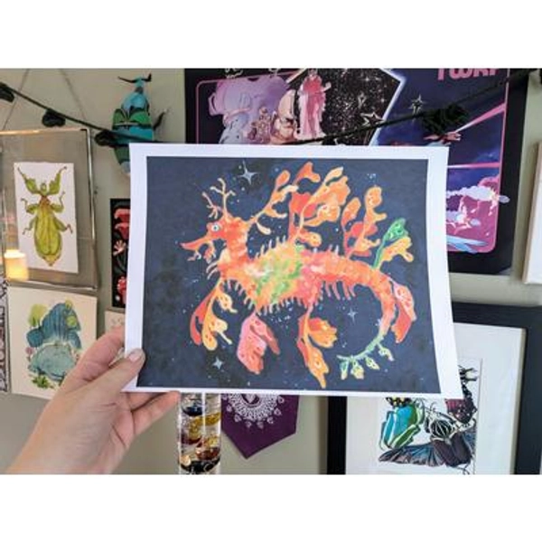 Leafy Sea Dragon | 8.5x11 MattePhoto Print