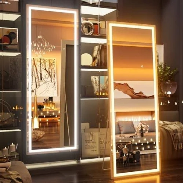 67x20 Inch Full Length Mirror with Lights