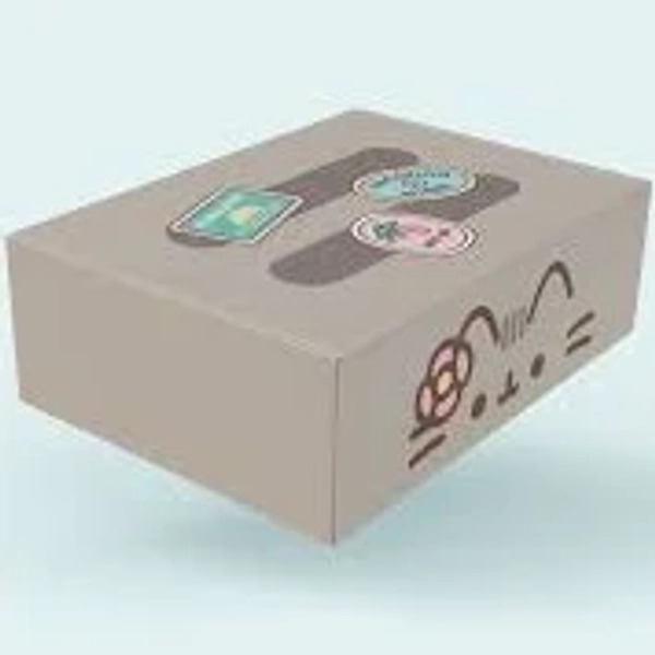 Pusheen Box