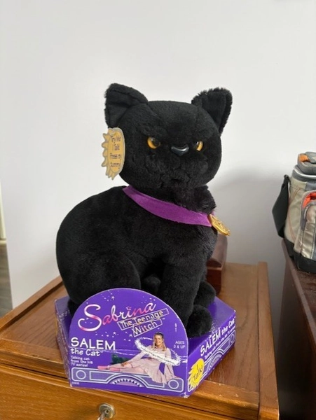 Talking Salem Cat With Display From Sabrina The Teenage Witch By Kenner 1997