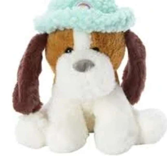 Five Below Dog With Bucket Hat Plush - Teal