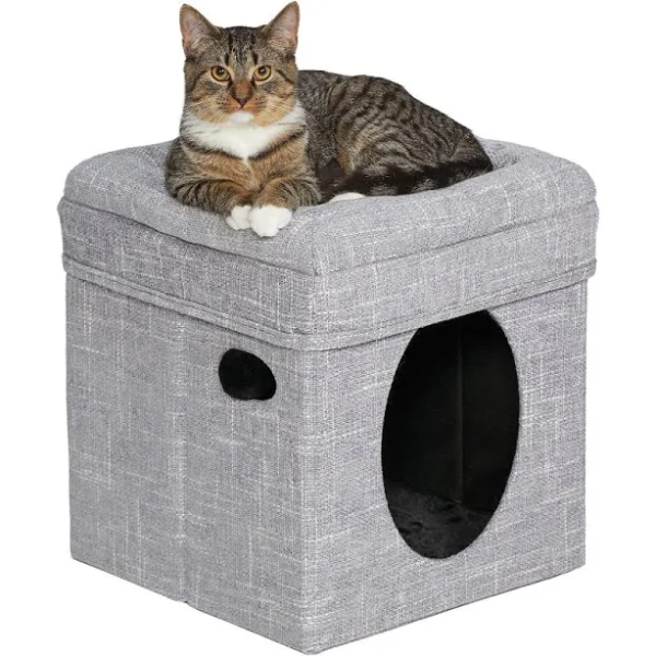 MidWest Curious Cat Cube