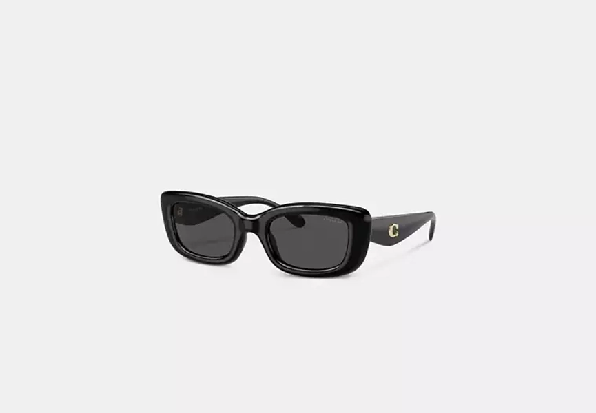 Black C Hardware Narrow Rectangle Sunglasses